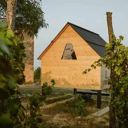 Glamping Starsbox Dimora In Vigna 2.0 Costigliole d'Asti